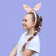 Easter Bunny Bobbles Elastics Set